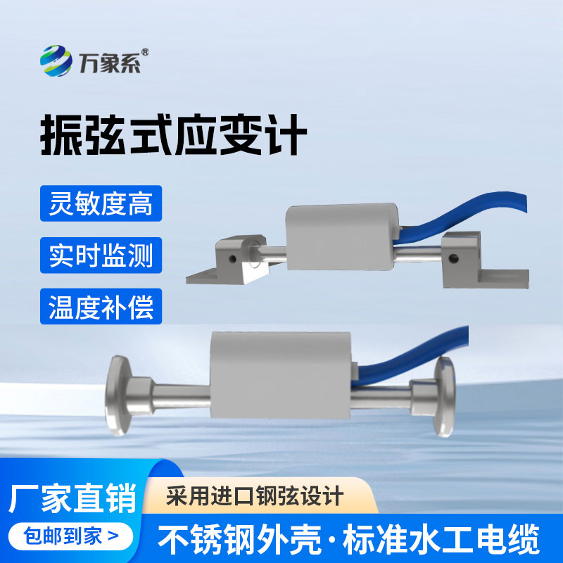 应变计